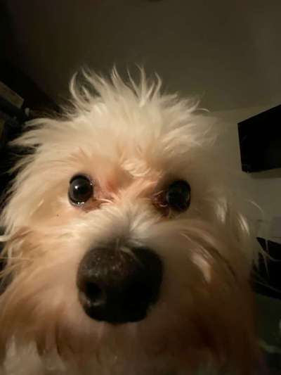 Ratespaß geht weiter-Beitrag-Bild