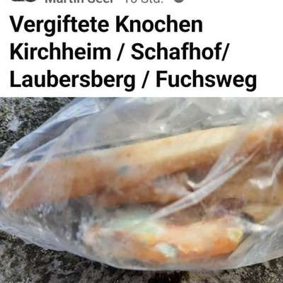 Giftköder-Giftköder/Knochen-Bild