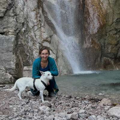 Hundetreffen-gegenseite Hundebetreuung/ Spielfreunde-Bild