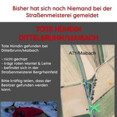 Besitzer gesucht im Raum  Schweinfurt-Beitrag-Bild