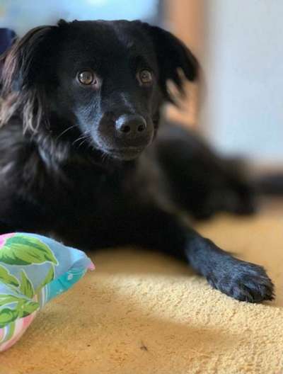 Fotochallenge No. 26                                     Wald und Wiese-Beitrag-Bild