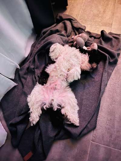 Fotochallenge Nr.65-Beitrag-Bild