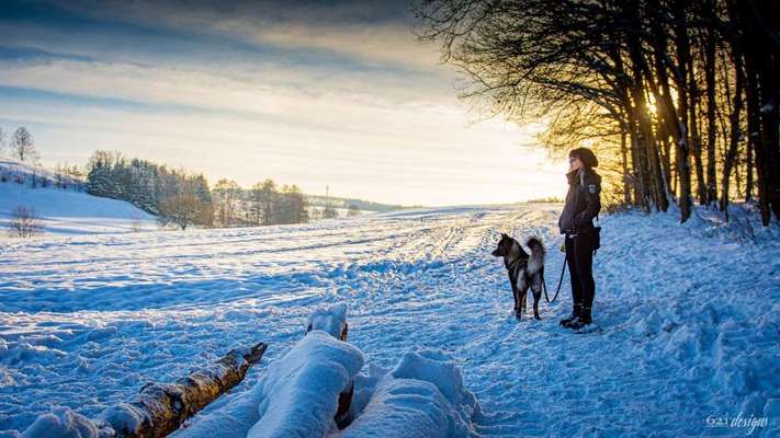 Euer absolutes lieblings Bild !-Beitrag-Bild