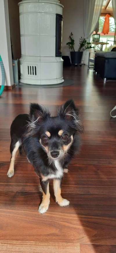 Außergewöhnliche Merkmale-Beitrag-Bild