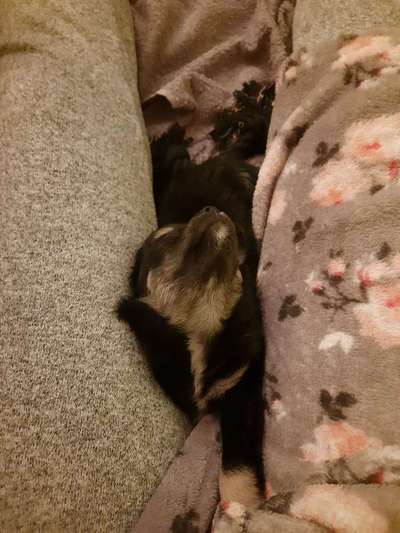 Die unbequemsten und lustigsten Schlafpositionen-Beitrag-Bild