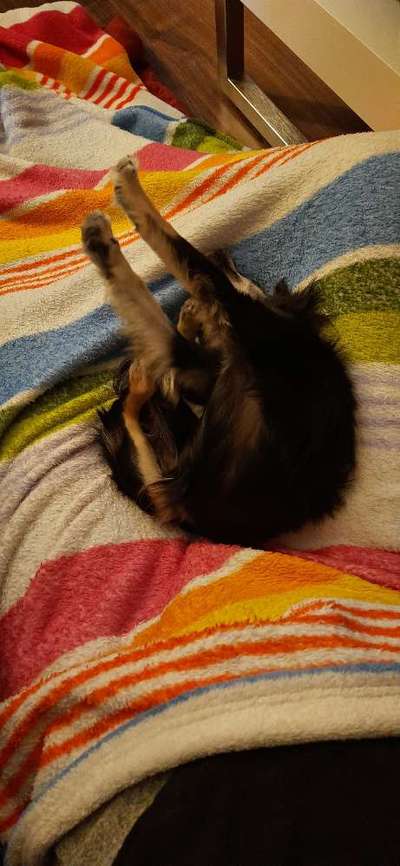 Die unbequemsten und lustigsten Schlafpositionen-Beitrag-Bild