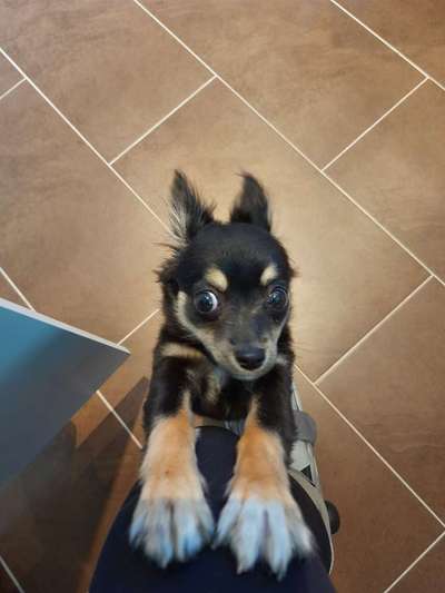 Fotochallange 84-Beitrag-Bild