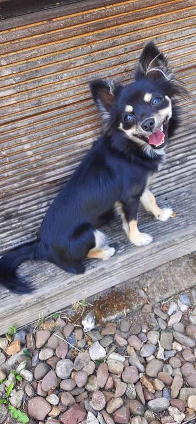 Tongue Out Tuesday-Beitrag-Bild