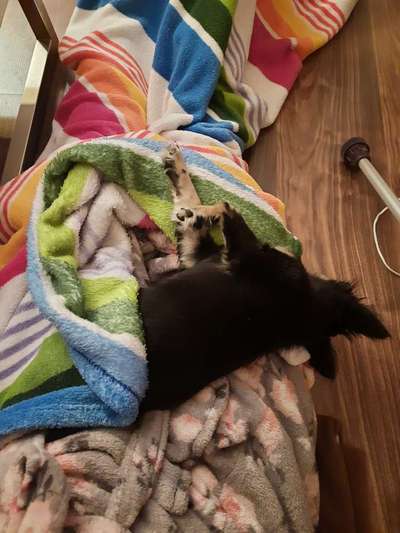 Die unbequemsten und lustigsten Schlafpositionen-Beitrag-Bild