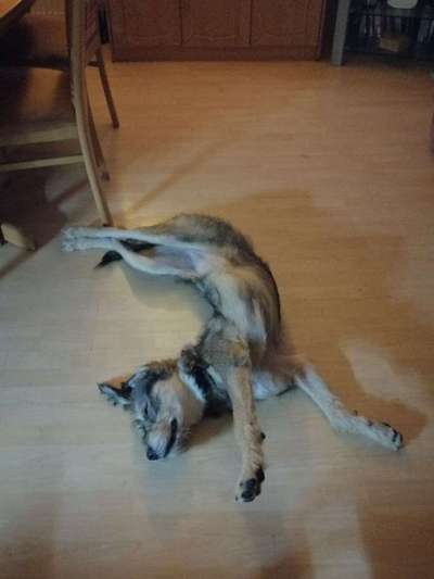 Die unbequemsten und lustigsten Schlafpositionen-Beitrag-Bild