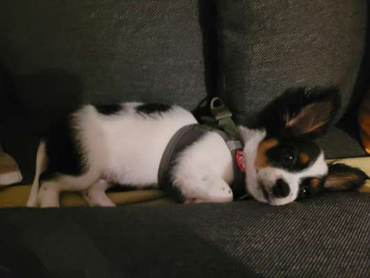 13. Farben-Fotochallenge "Grau"-Beitrag-Bild