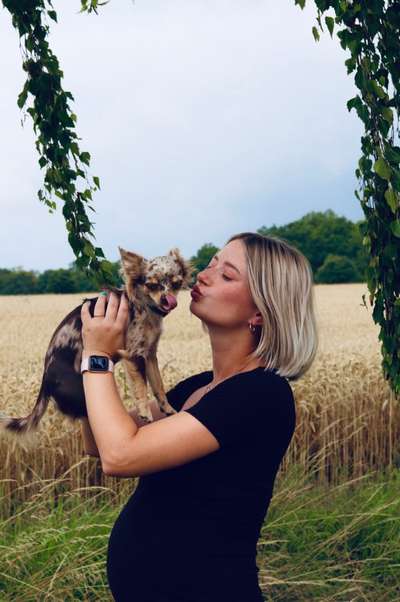 Dogorama Photo Challenge - Liebesbeweis-Beitrag-Bild