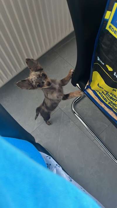 15. Handyfoto Challenge - Indoor Aktivitäten-Beitrag-Bild