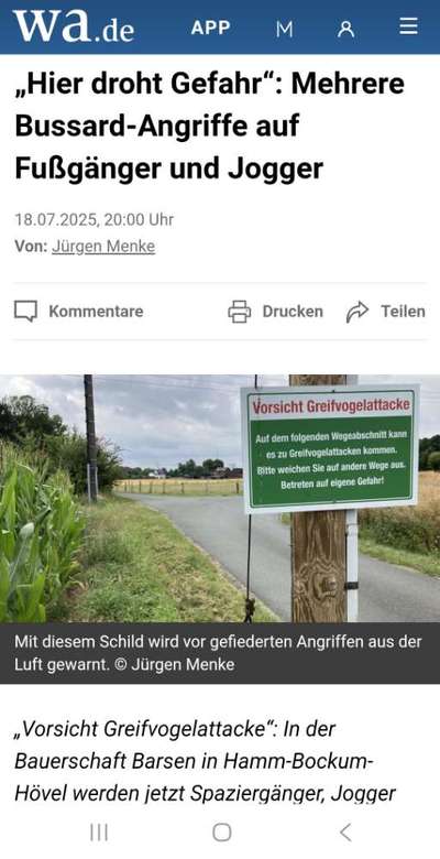 Giftköder-Greifvogelattacke-Bild