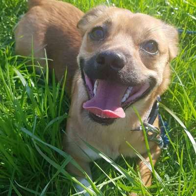 Lieblingsbild :D-Beitrag-Bild