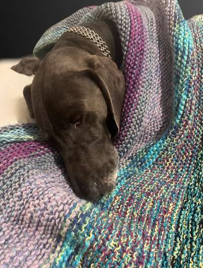 32. Farben Challenge  ** ( BUNTE ) STREIFEN **-Beitrag-Bild