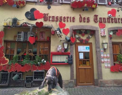 67. Handy Foto Challenge: Rotes Herz-Beitrag-Bild