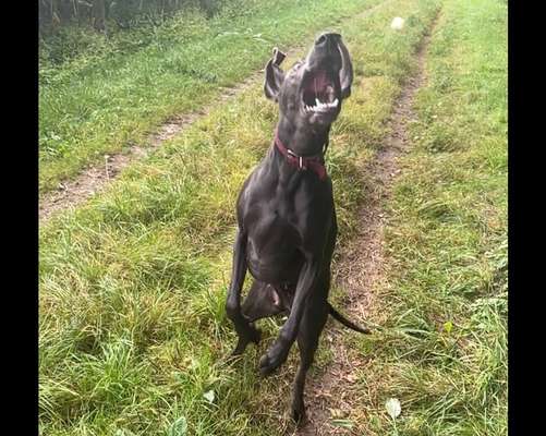 FOTO CHALLENGE Thema ,,durchdrehen"-Beitrag-Bild