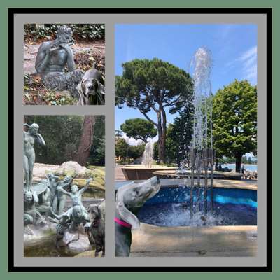 57. Foto Collage Challenge
Brunnen-Beitrag-Bild