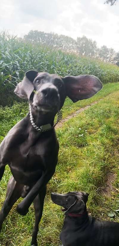 FOTO CHALLENGE Thema ,,durchdrehen"-Beitrag-Bild