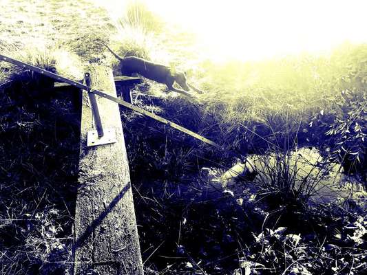 70. Handy-Fotochallenge: Zeitreisen-Beitrag-Bild