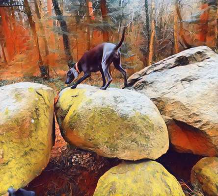 64. Handy Foto Challenge - Hoch hinaus-Beitrag-Bild