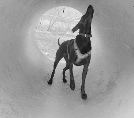 80. Foto  Challenge - Versteckt/ in einer Höhle-Beitrag-Bild