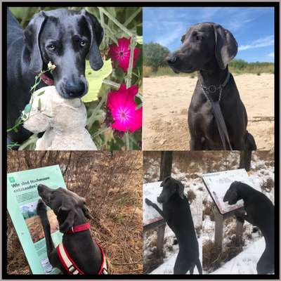 55.Fotocollagen  Challenge  4 Jahreszeiten-Beitrag-Bild