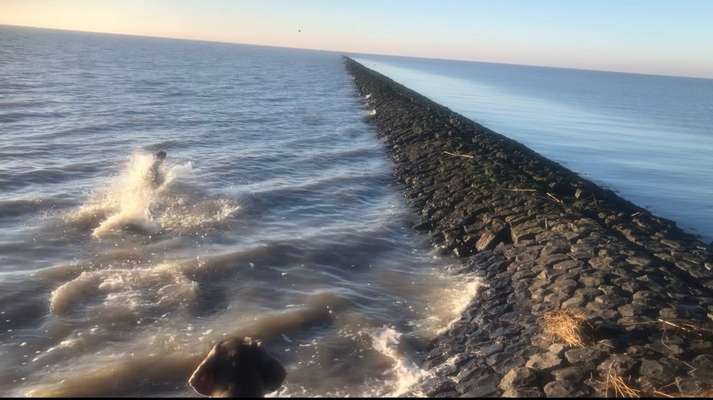 154. FotoChallenge * AUFS BILD GEMOGELT *-Beitrag-Bild