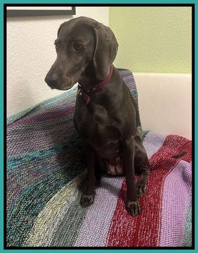 32. Farben Challenge  ** ( BUNTE ) STREIFEN **-Beitrag-Bild