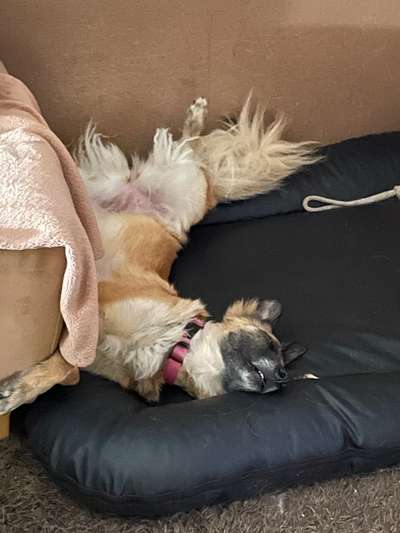 FOTO-Challenge  NR. 91: Die pure Entspannung-Beitrag-Bild