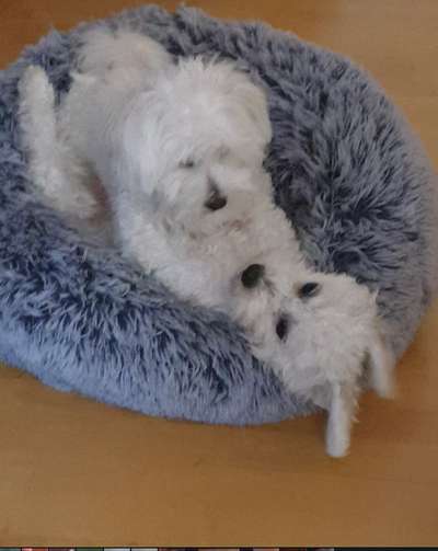 Fotochallenge 130-Beitrag-Bild