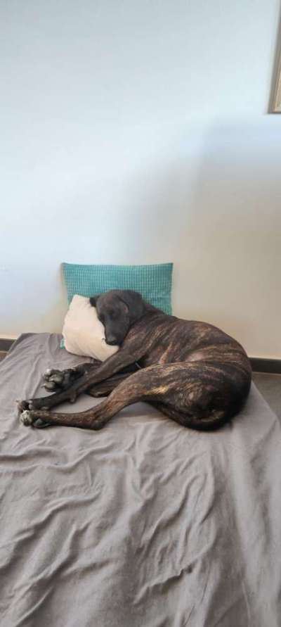 Die unbequemsten und lustigsten Schlafpositionen-Beitrag-Bild