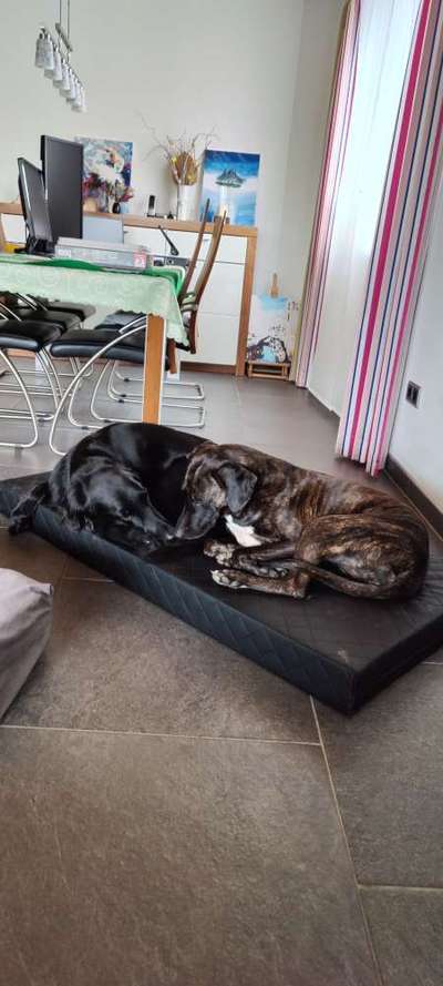 Foto Challenge Nr.: 115-Beitrag-Bild