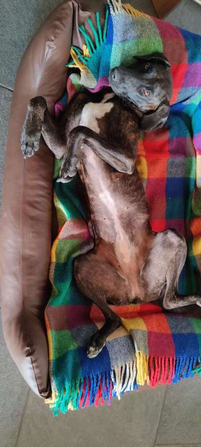 Die unbequemsten und lustigsten Schlafpositionen-Beitrag-Bild