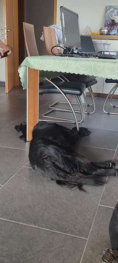 Die unbequemsten und lustigsten Schlafpositionen-Beitrag-Bild