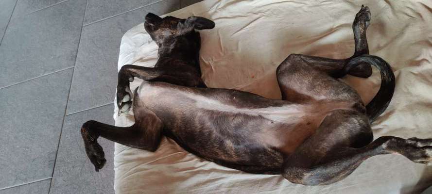 Die unbequemsten und lustigsten Schlafpositionen-Beitrag-Bild