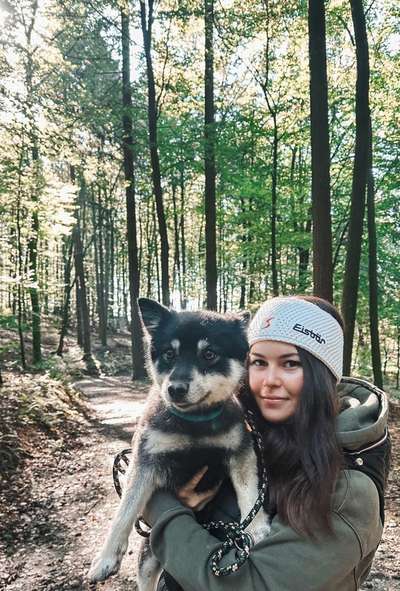Hundetreffen-Spielkumpel gesucht-Bild