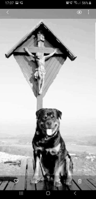 Foto-Challenge 76: Foto in Schwarz-Weiss-Beitrag-Bild