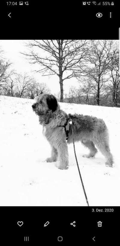 Foto-Challenge 76: Foto in Schwarz-Weiss-Beitrag-Bild