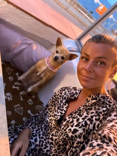 Hundetreffen-Mila sucht eine/n kleinen Gassipartner-Bild