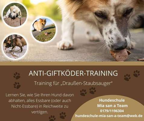 Hundetreffen-Anti-Giftköder-Training-Bild
