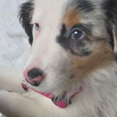 KUSCHEL PARTNER-Beitrag-Bild