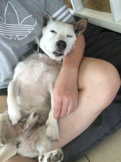 Fotochallenge Nr.65-Beitrag-Bild