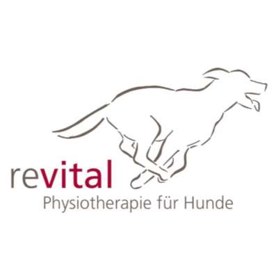 Medizinische Dienstleistungen-revital - Physiotherapie für Hunde-Bild