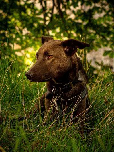 Lieblingsbild-Beitrag-Bild