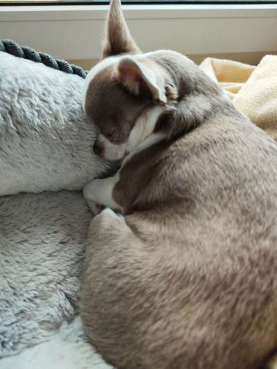 Foto Challenge Nr. 134-Beitrag-Bild