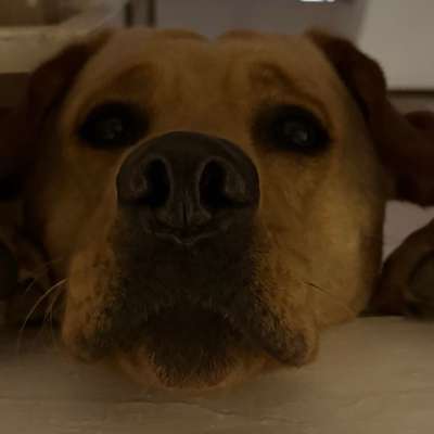 Maik's Profilbild