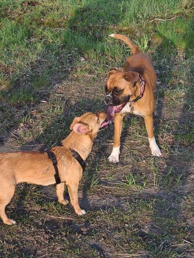 Fotochallenge Nr. 67: Euer Lieblingsbild-Beitrag-Bild