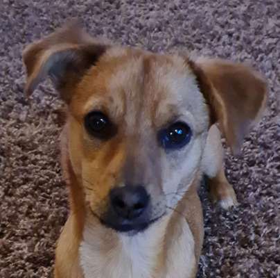 Fotochallange Nr. 57     PORTRÄT.   Beendet!!!!!!!!-Beitrag-Bild